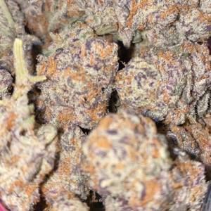 Meet your Posher, Weztside